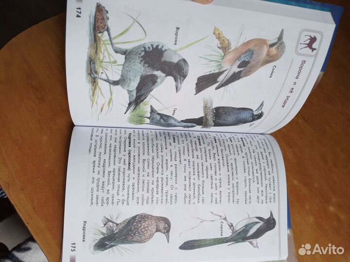 Атлас 1-4 класс