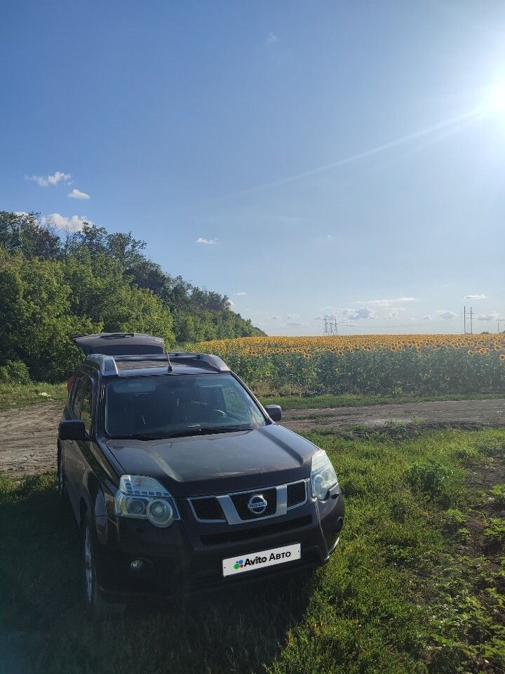 Nissan X-Trail: фото владельца