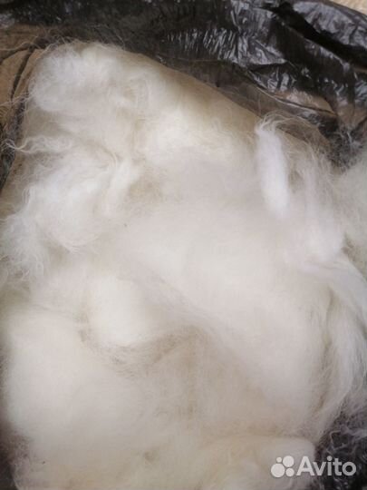Собачья шерсть пух