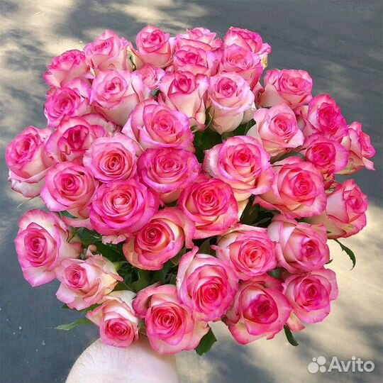 39 штук Роза Букет