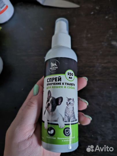 Обувь для собак кошек