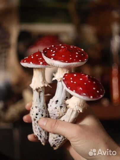 Грибы из полимерной глины