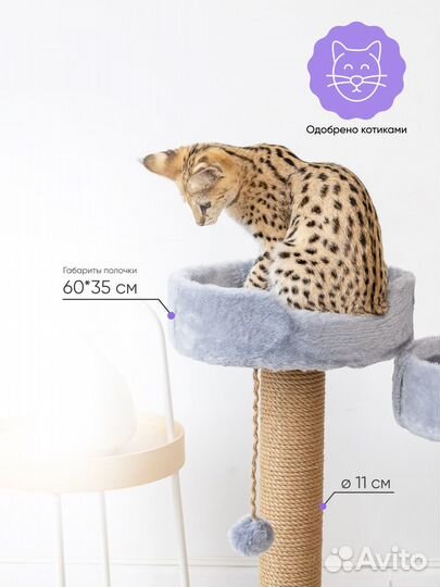 Когтеточка с двумя лежанками