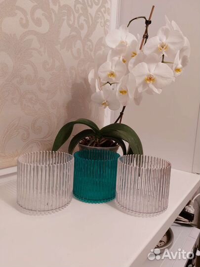 Кашпо для орхидей 