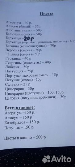 Рассада цветы и овощей
