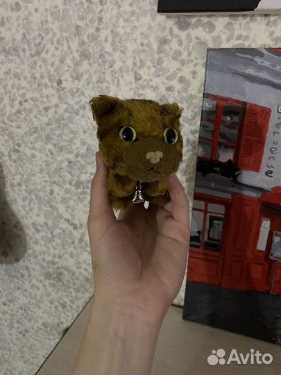 Коллекционные коты с журналами