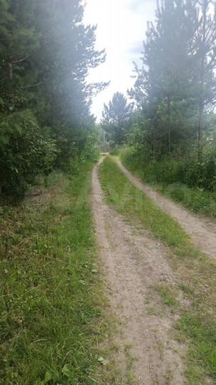 Участок 15,9 сот. (ИЖС)