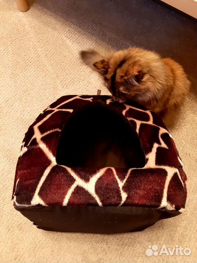 Домик для кошки