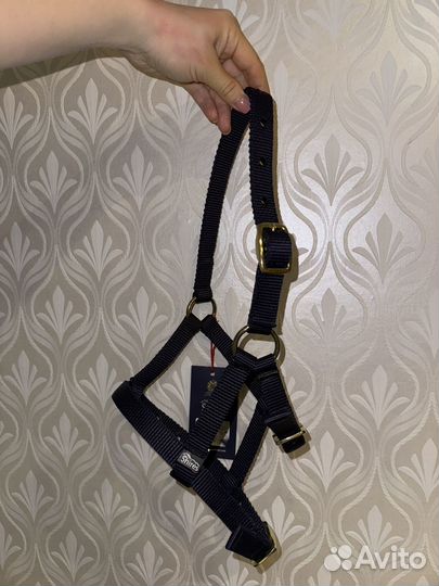 Недоуздок для жеребят и пони