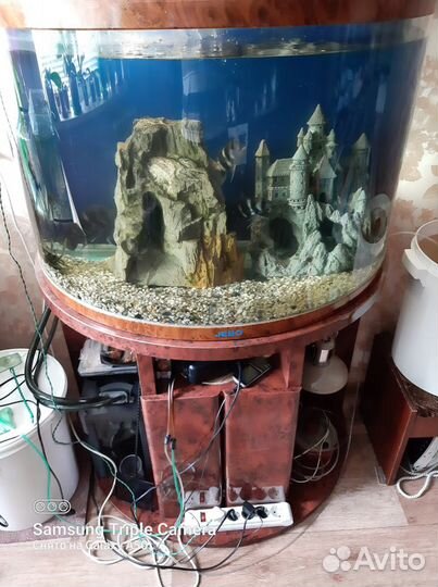 Аквариум- jebo панорама 170 литров обмен доплатой