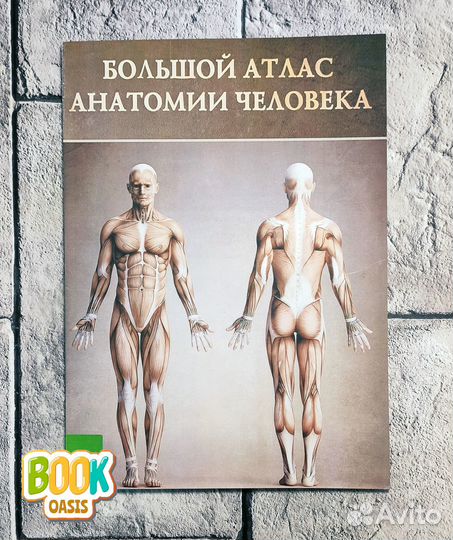 Большой атлас анатомии человека, Винсента Перез