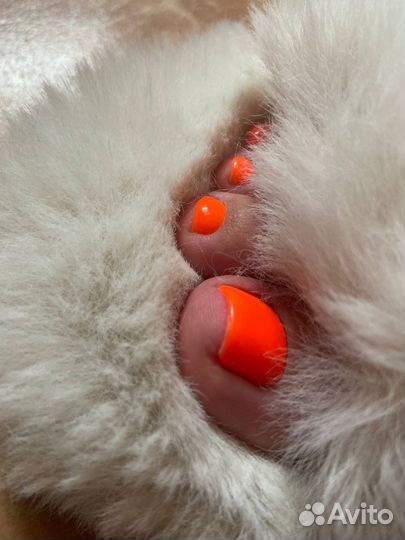 Педикюр покрытие гель лак