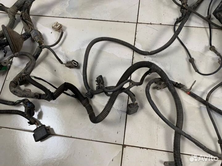 Проводка подкапотная Ford Focus 2 CB4 1.8-2.0