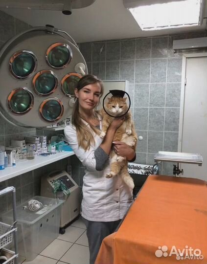 Ветеринарный врач на дом