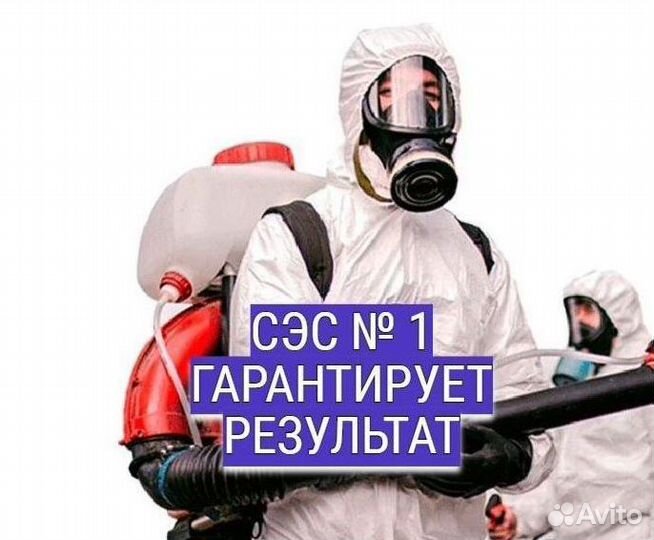 Уничтожение тараканов клопов Дезинфекция