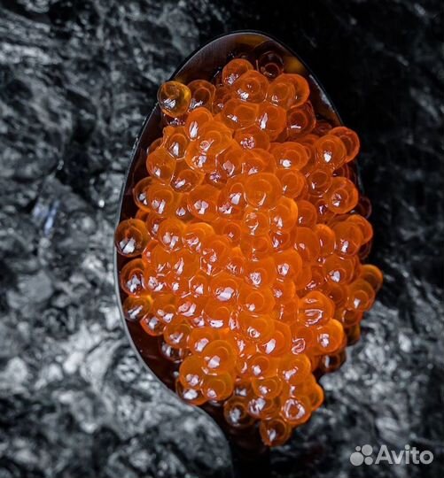 Красная икра 2023