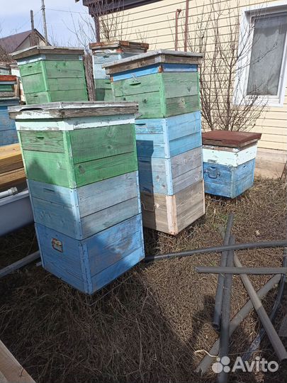 Сушь для пчел, ульи, магазины