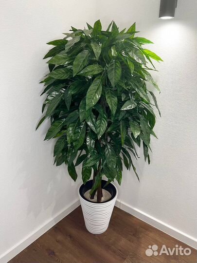 Искусственные деревья для дома и офиса в наличии