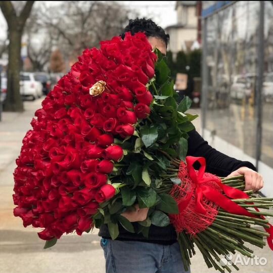 Метровые розы Цветы Доставка