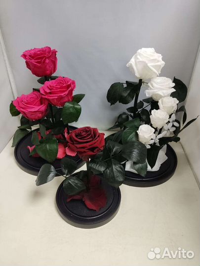 Подарок маме / Цветы оптом