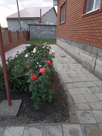 Дом 160 м² на участке 10 сот.