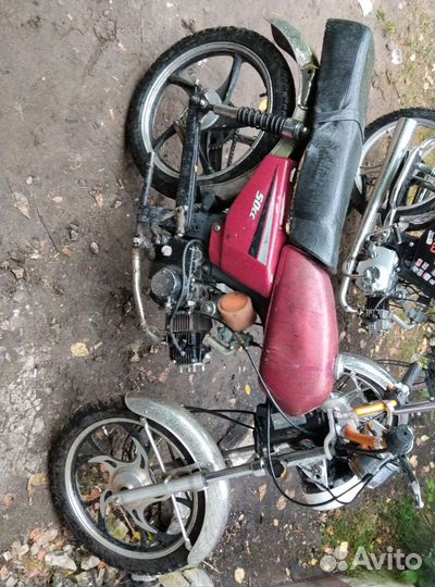 Альфа