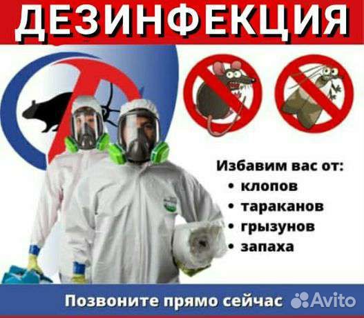 Дезинфекция, Дезинсекция, Дератизация