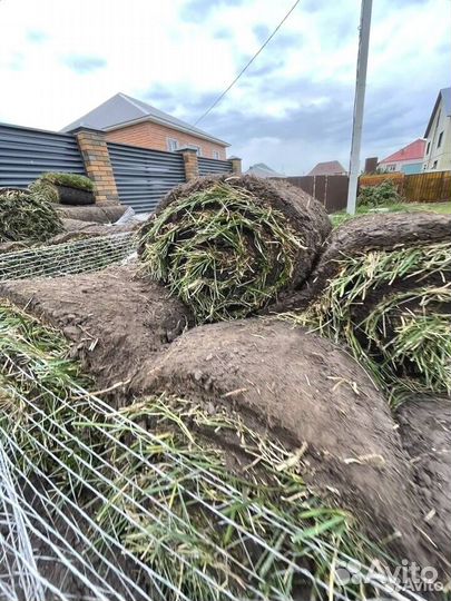 Газон, Автополив, Ландшафтный дизайн от производит