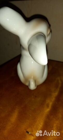 Заяц кролик Розенталь большой