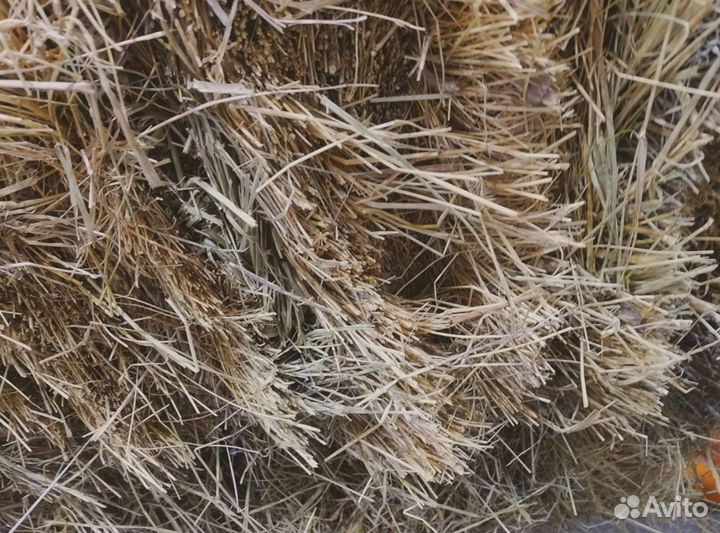 Сено - стружка - опилки