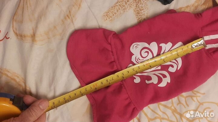 Одежда для маленьких пород собак