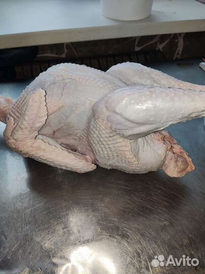 Мясо индюка,гуся,утки,перепела