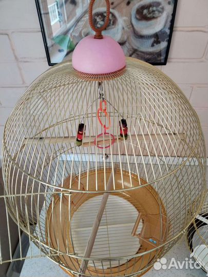 Клетка для среднего попугая или волнистого