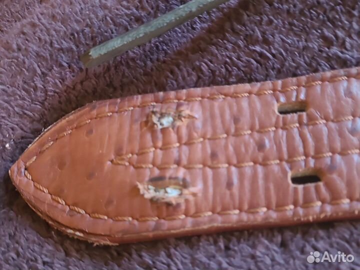 Ошейник для булли и крупных собак комплект