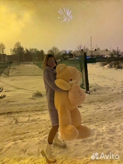 Плюшевый медведь