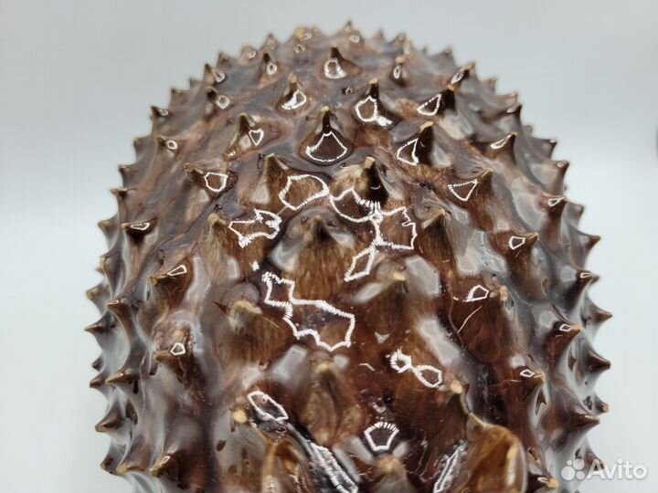 Статуэтки 4 шт керамика фаянс Ежики Латвия Елгава