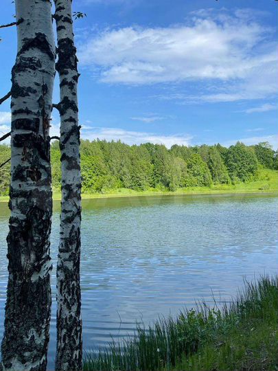 Участок 12 сот. (ИЖС)