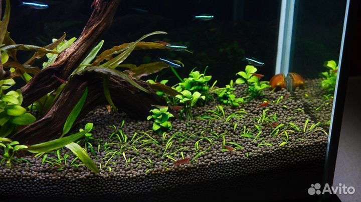 Грунт для аквариума / Аквагрунт