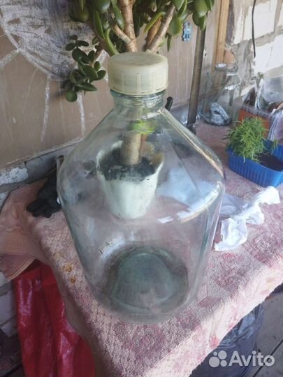 Бутылка стеклянная 10литров