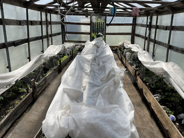 Дача 23 м² на участке 6 сот.