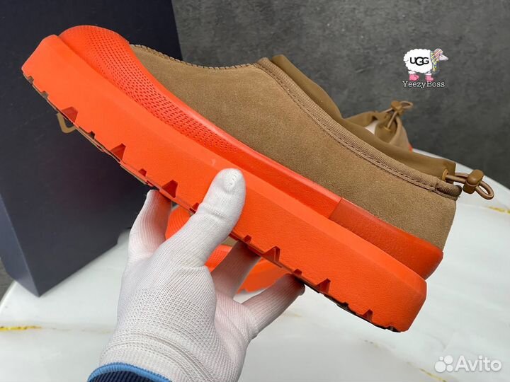 Ботинки женские зимние Ugg Tasman Hybrid