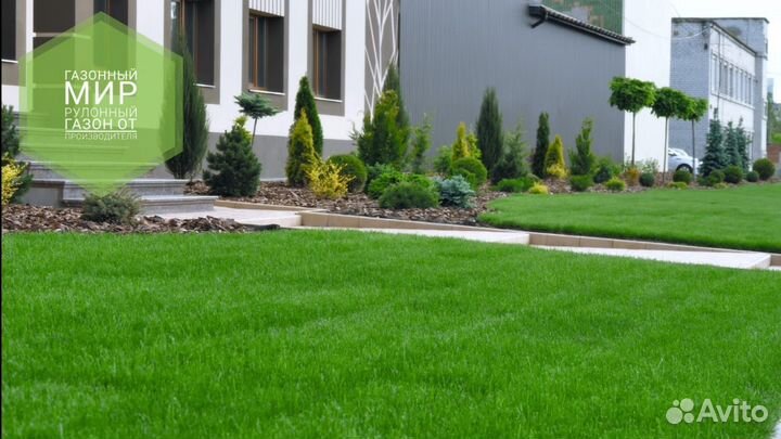 Рулонный газон