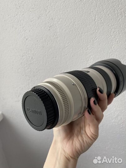 Объектив canon ef 70-200 mm 2.8 L USM