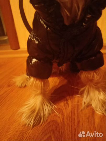 Зимний комбинезон для собак мелких пород