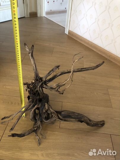 Коряга мангровая