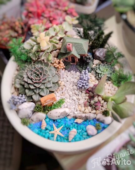 Композиция из живых растений в кашпо