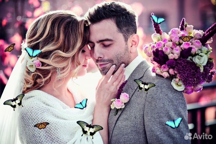 Салют из Живых Тропических Бабочек с/б-18