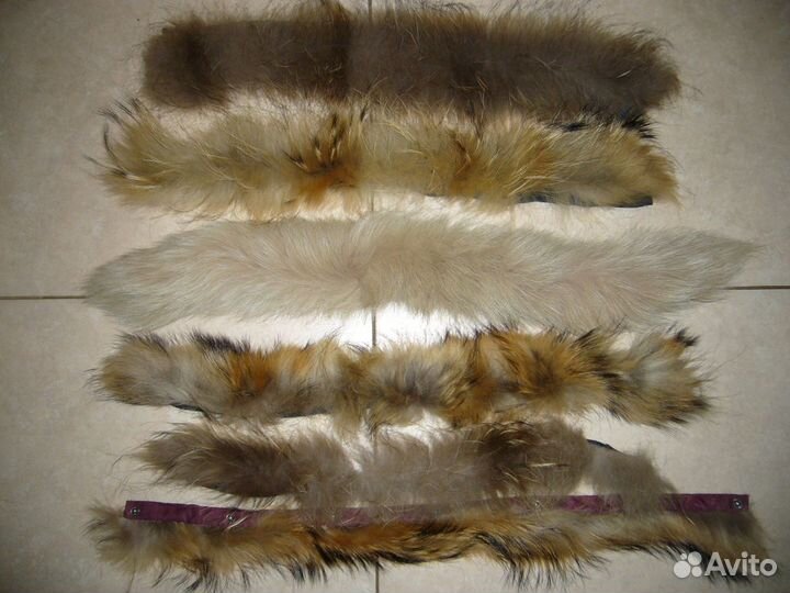 Меховушки разные много