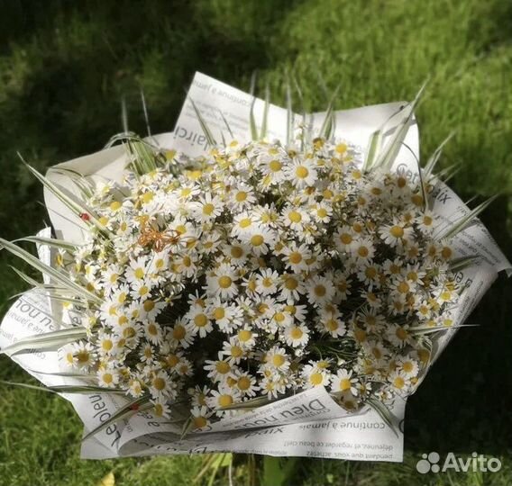 Букеты из ромашек Васильки Розы Пионы