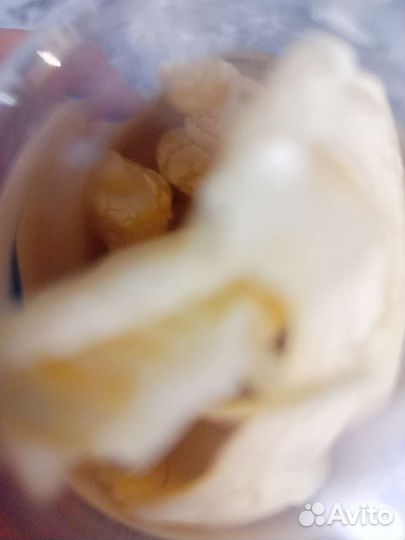 Палеонтологигический конструктор Мамонт